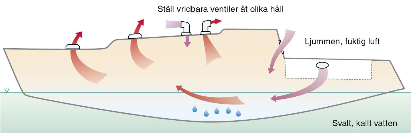 Bild kalla väggen